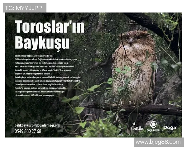 doat2比赛赛程-DoAT2电竞盛会—详解赛场序曲与时间线安排-doat2比赛赛程