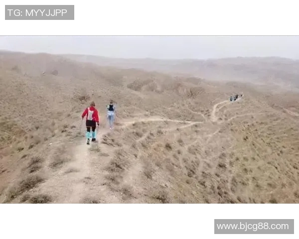 DDZ为啥不能打比赛了-探究DDZ无法参赛的背后原因-DDZ为啥不能打比赛了